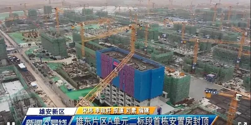 焦點(diǎn)！大將軍驚艷亮相雄安德維斯建博會(huì )，流量爆棚引圍觀(guān)！(圖7)