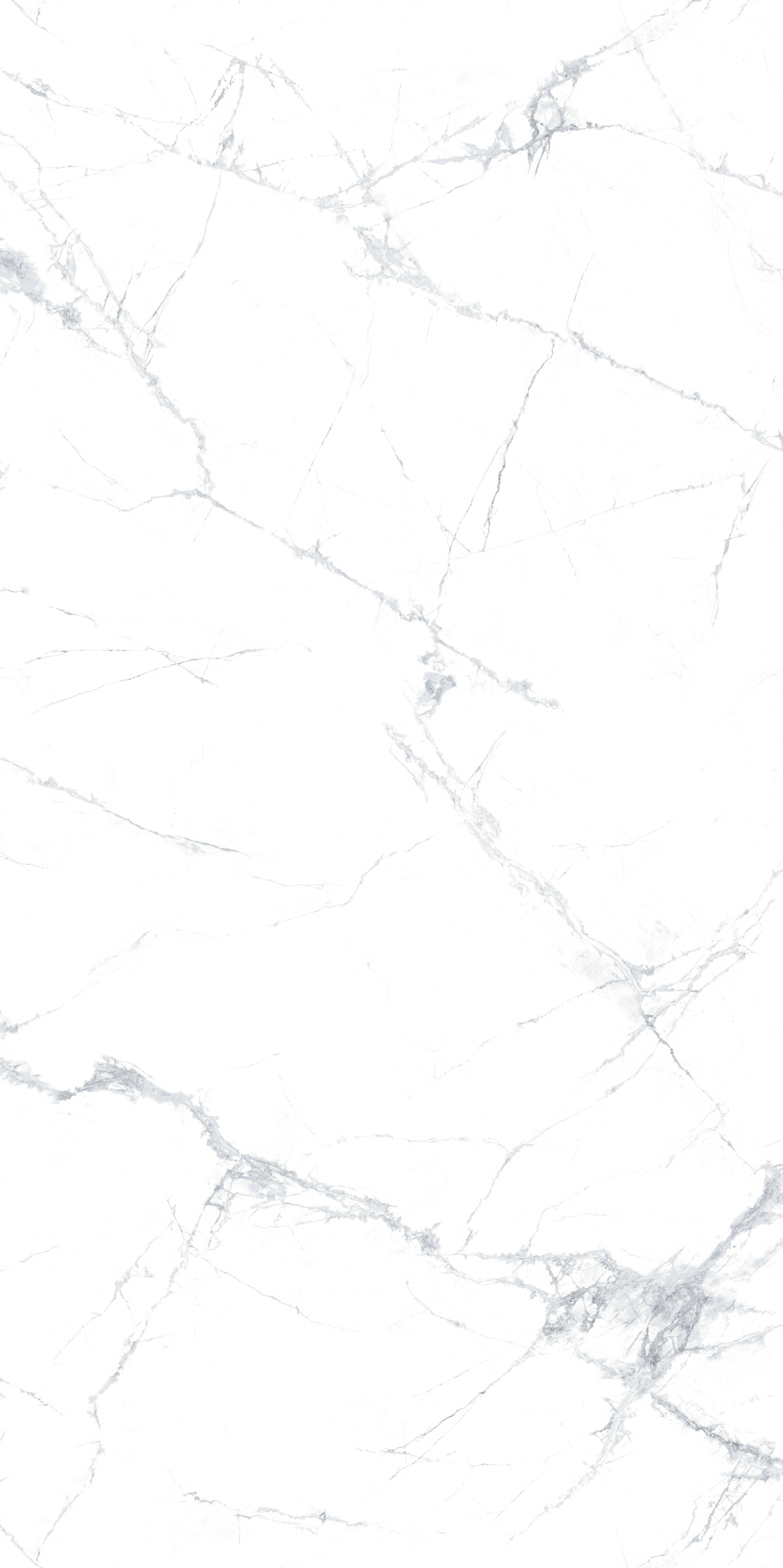 新寒江雪 M1224X50008產品圖