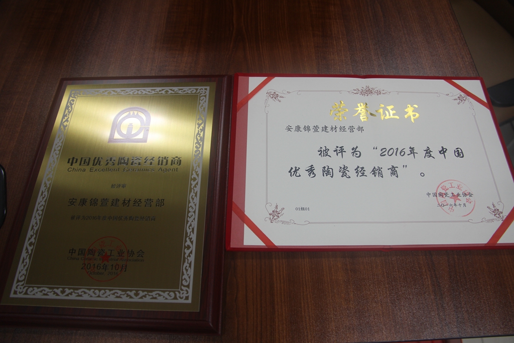 捷報：2016年度中國陶瓷優(yōu)秀經(jīng)銷(xiāo)商頒獎典禮 大將軍陶瓷載譽(yù)而歸
(圖6)